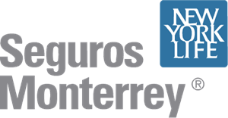 Seguro